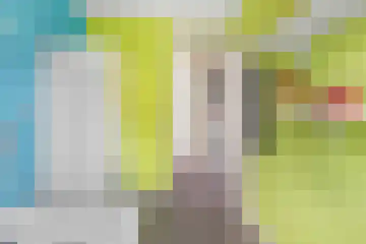 Maartje den Outerstraat 2 Rotterdam thumbnail 27