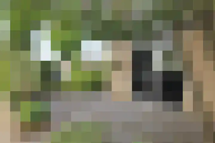 Maartje den Outerstraat 2 Rotterdam thumbnail 6