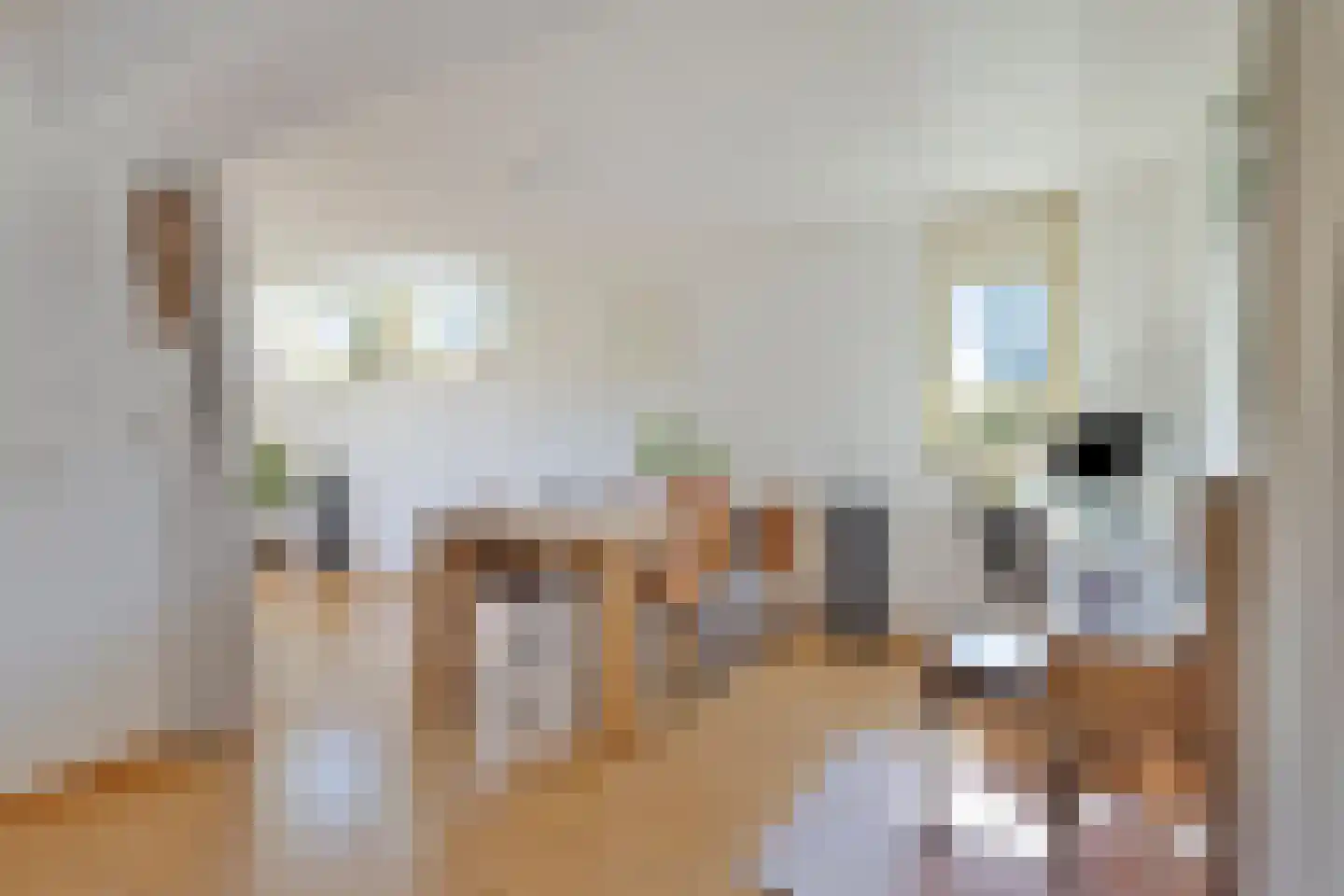 Maartje Offers erf 2 Heerhugowaard thumbnail 18