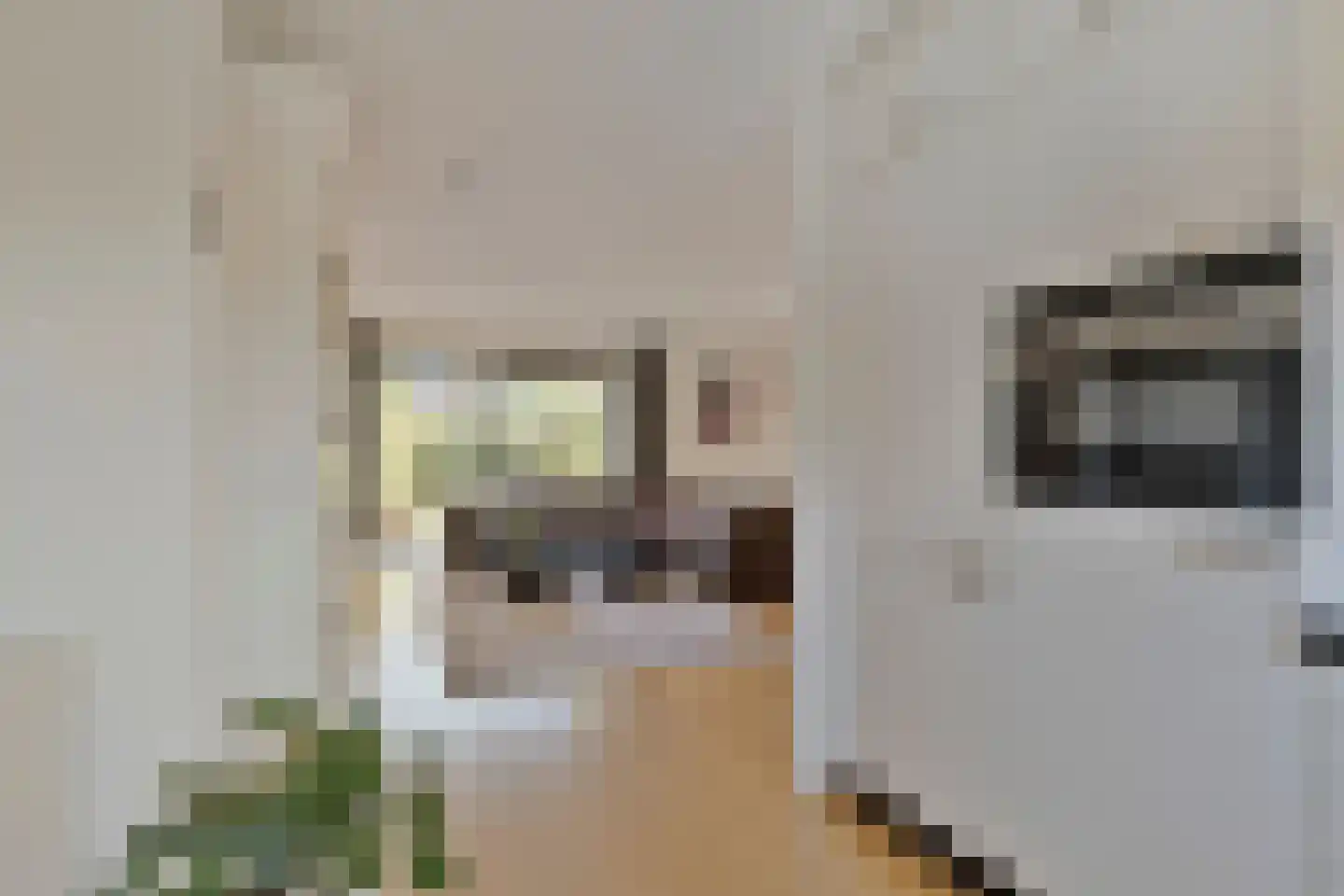 Maartje Offers erf 2 Heerhugowaard thumbnail 25