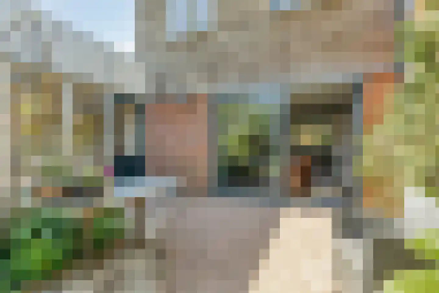 Maartje Offers erf 2 Heerhugowaard thumbnail 5
