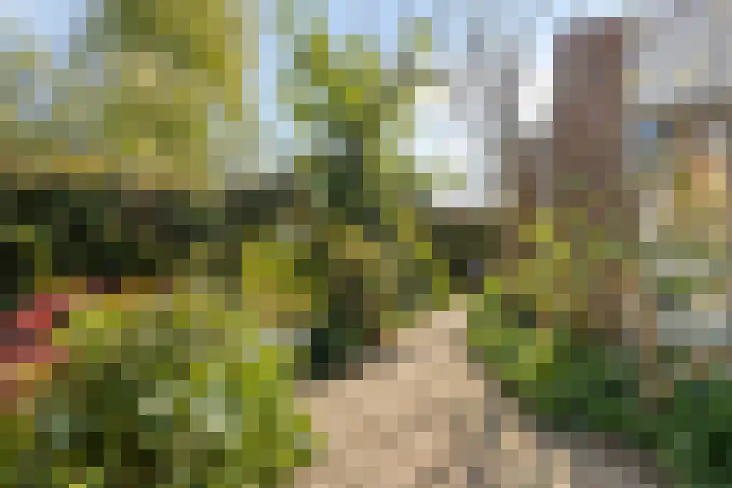 Maartje Offers erf 2 Heerhugowaard thumbnail 51