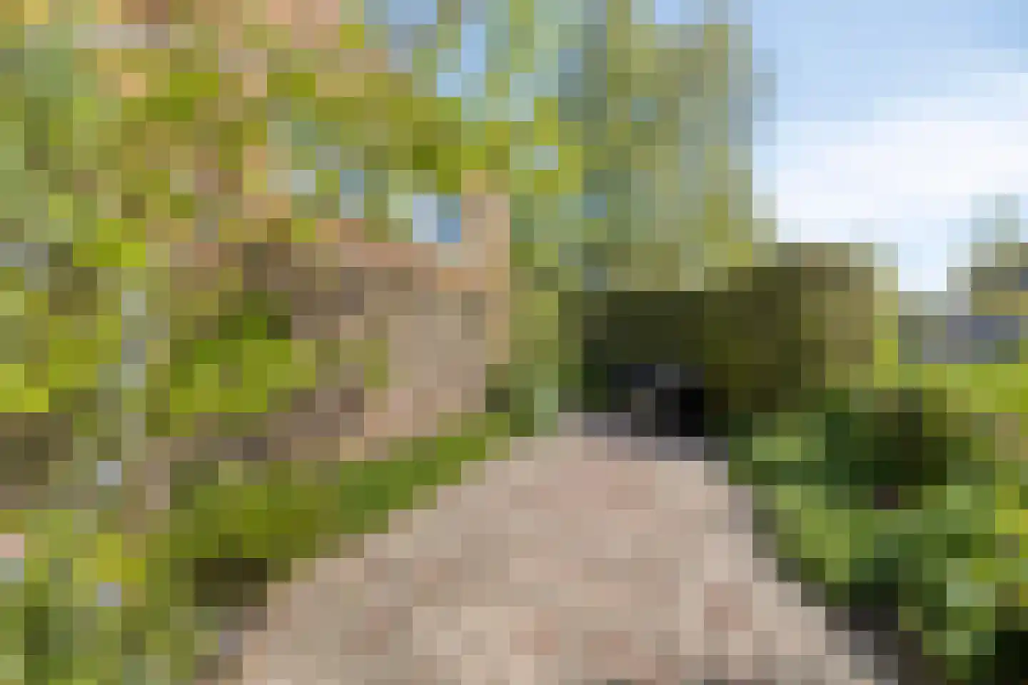 Maartje Offers erf 2 Heerhugowaard thumbnail 54