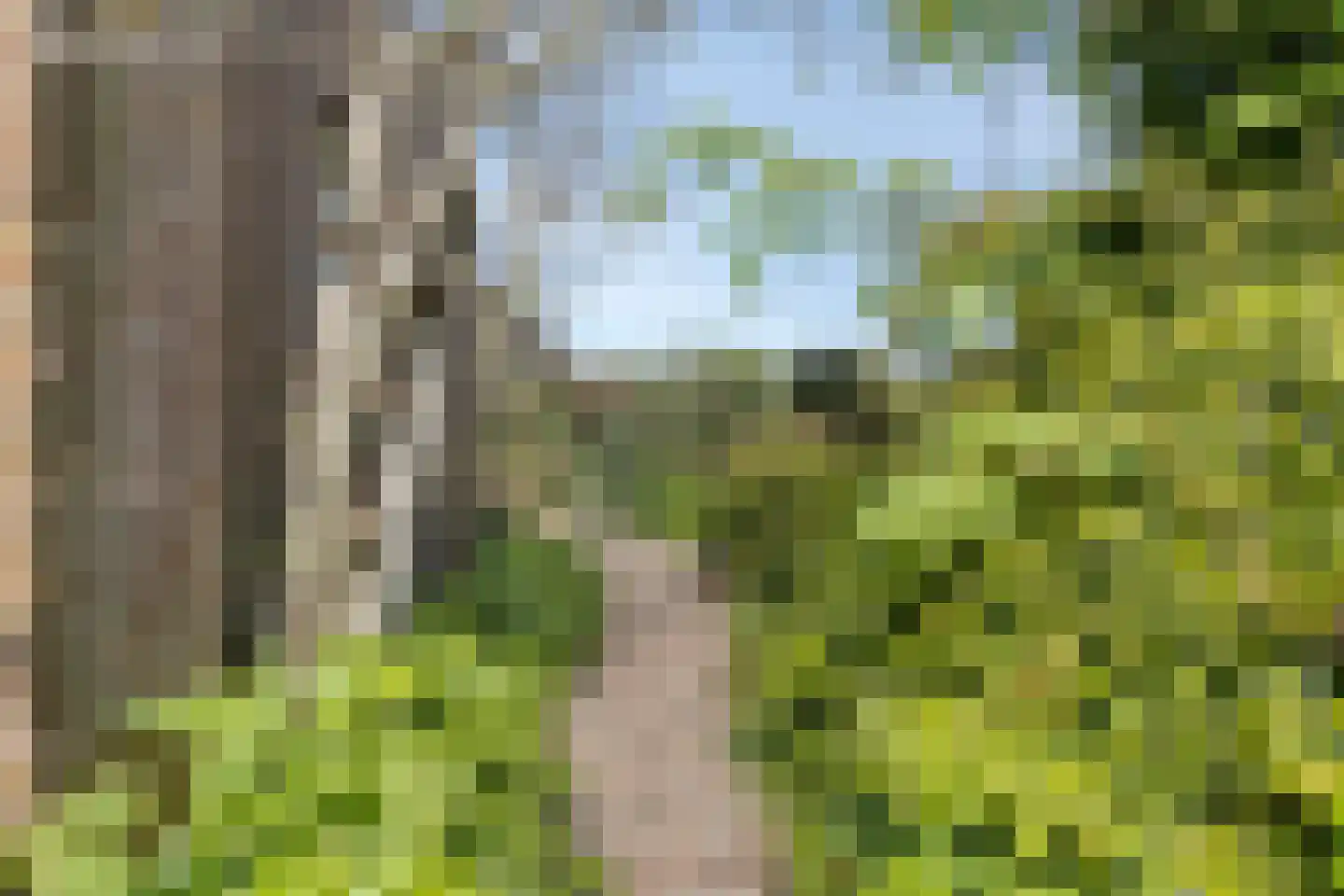 Maartje Offers erf 2 Heerhugowaard thumbnail 55