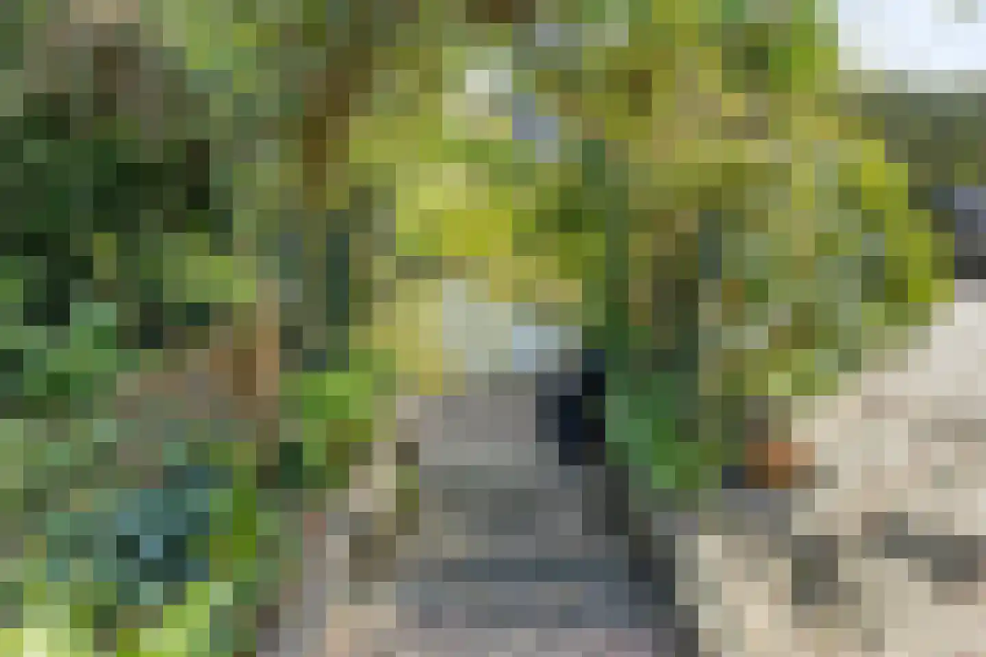 Maartje Offers erf 2 Heerhugowaard thumbnail 56