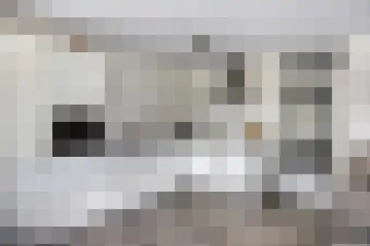 Maartje Offerspad 10 Leiden thumbnail 18