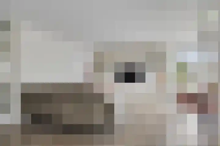 Maartje Offerspad 10 Leiden thumbnail 6