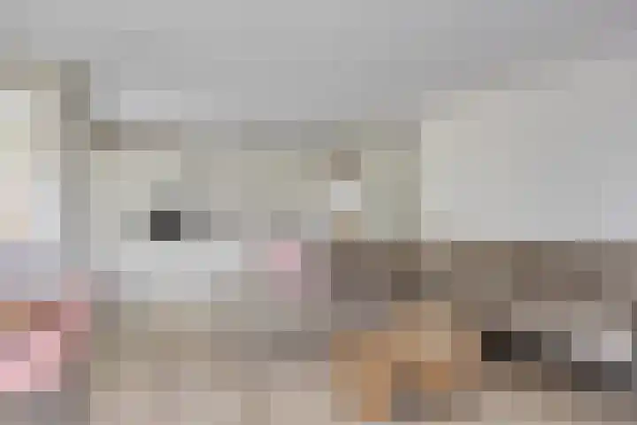 Maartje Offerspad 10 Leiden thumbnail 8