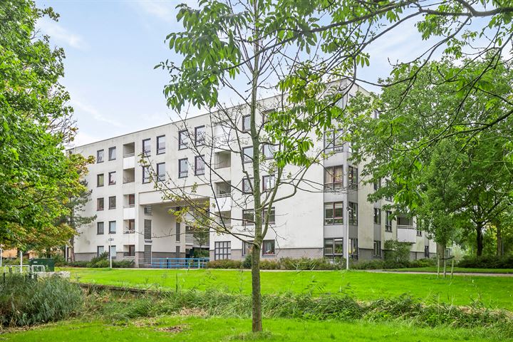 Maartje Offerspad 29 in Leiden Foto