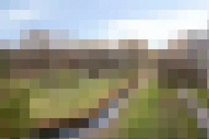 Maartje Offerspad 32 Leiden thumbnail 6