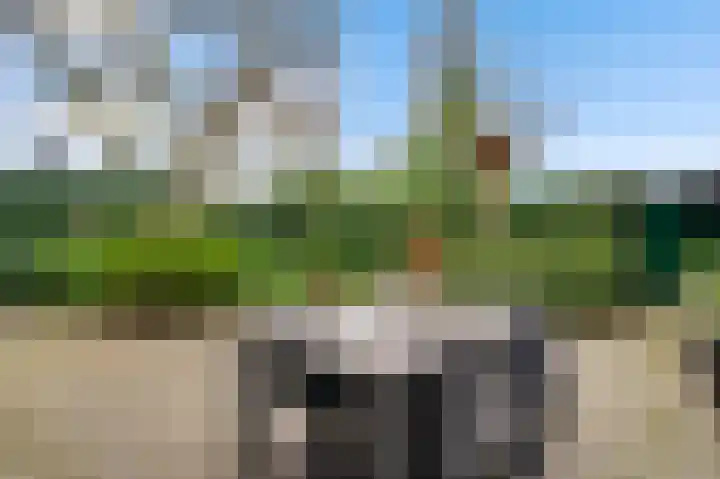 Maartveld 11 Maastricht thumbnail 4