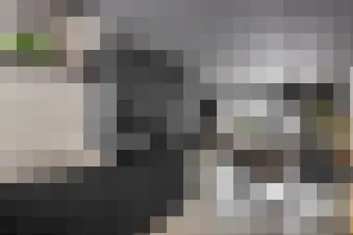 Maartvlinderstraat 21 Veenendaal thumbnail 13