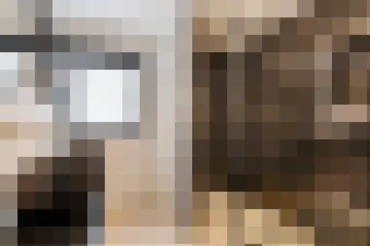 Maartvlinderstraat 21 Veenendaal thumbnail 20
