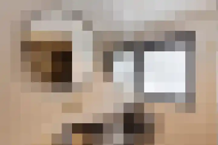 Maartvlinderstraat 21 Veenendaal thumbnail 21