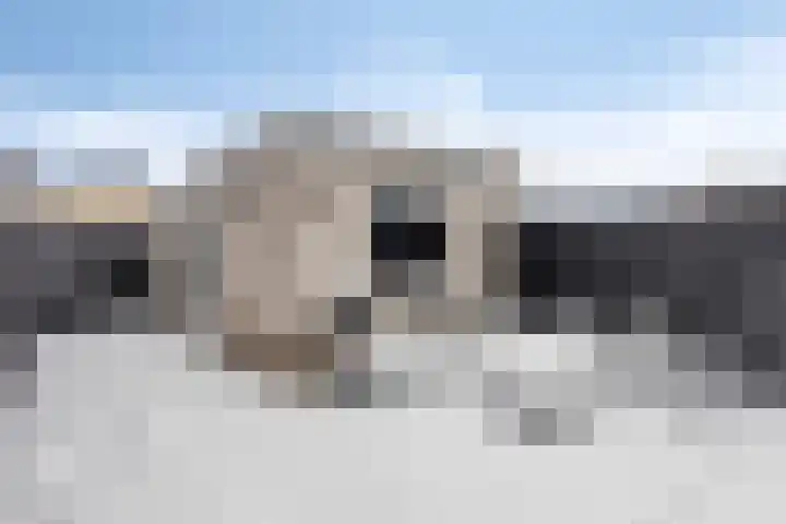 Maartvlinderstraat 21 Veenendaal thumbnail 26