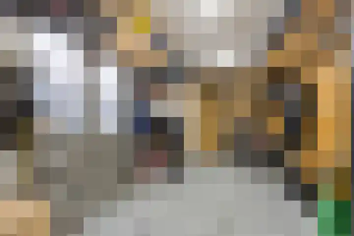 Maartvlinderstraat 21 Veenendaal thumbnail 27