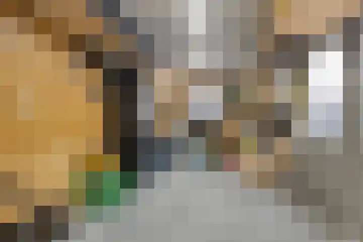 Maartvlinderstraat 21 Veenendaal thumbnail 28