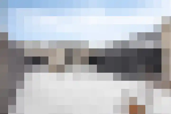 Maartvlinderstraat 21 Veenendaal thumbnail 5