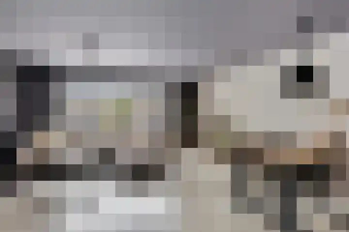 Maartvlinderstraat 21 Veenendaal thumbnail 8
