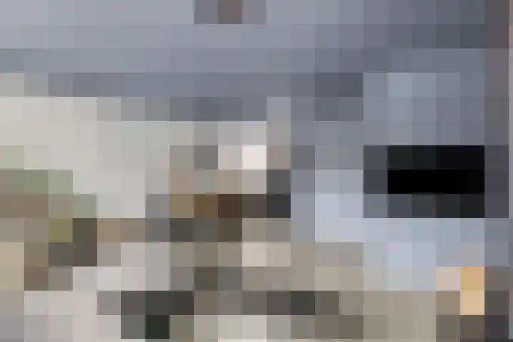 Maartvlinderstraat 21 Veenendaal thumbnail 9