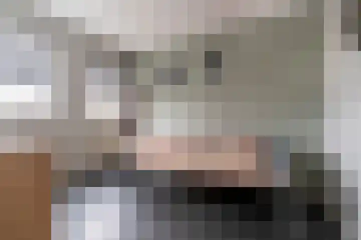 Maartvlinderstraat 37 Veenendaal thumbnail 18