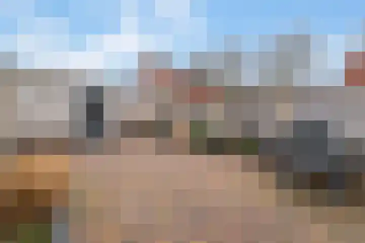 Maartvlinderstraat 37 Veenendaal thumbnail 25