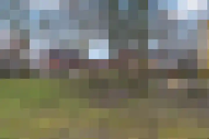 Maartvlinderstraat 37 Veenendaal thumbnail 30