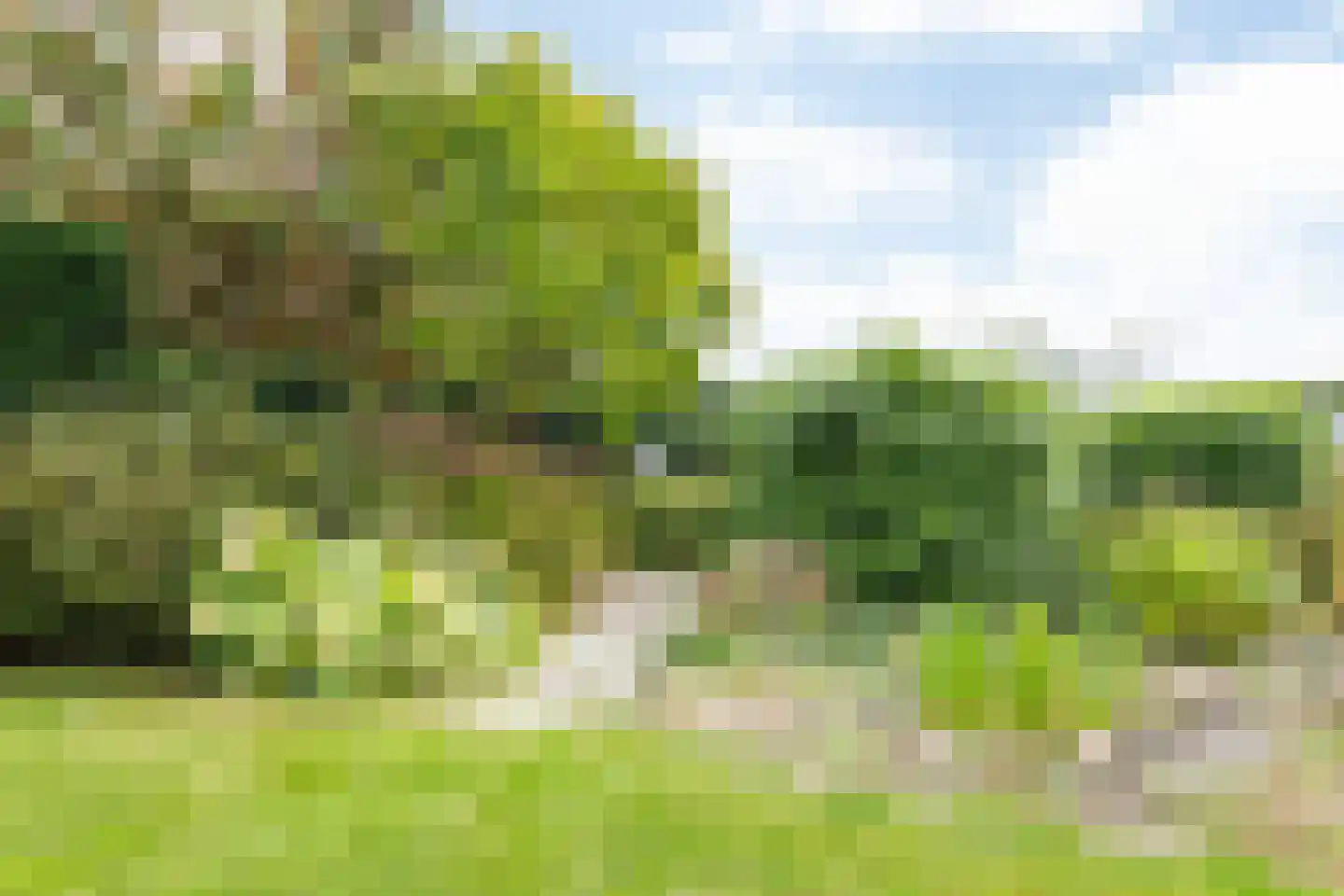 Maarweg 21 Merkelbeek thumbnail 32