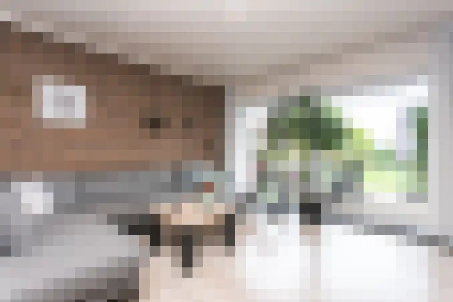 Maarweg 21 Merkelbeek thumbnail 7