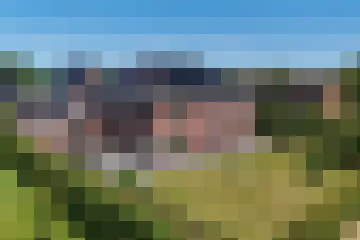 Maarweg 30 Uithuizen thumbnail 35