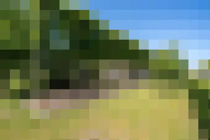 Maarweg 30 Uithuizen thumbnail 46