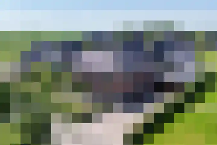 Maarweg 30 Uithuizen thumbnail 51