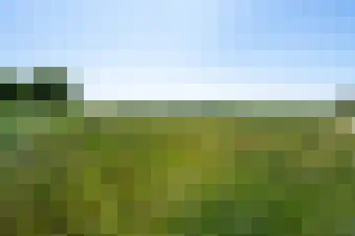 Maarweg 30 Uithuizen thumbnail 53