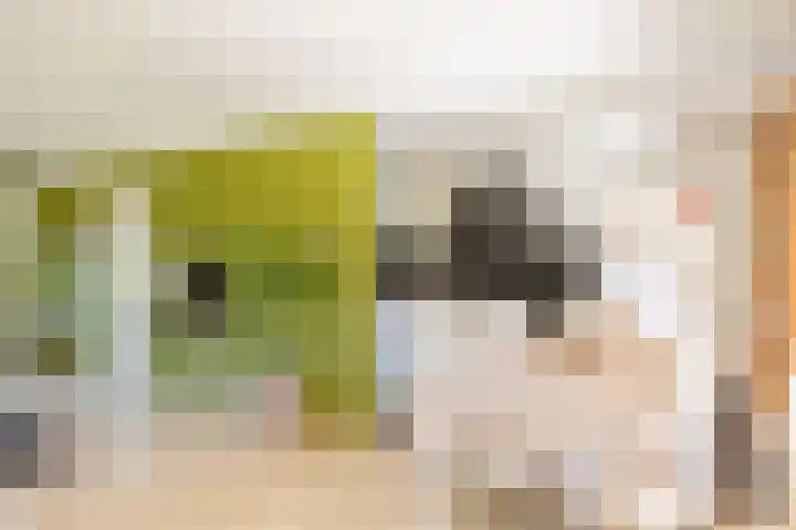 Maarweg 7 Baflo thumbnail 16