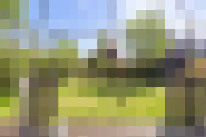 Maarweg 7 Baflo thumbnail 36
