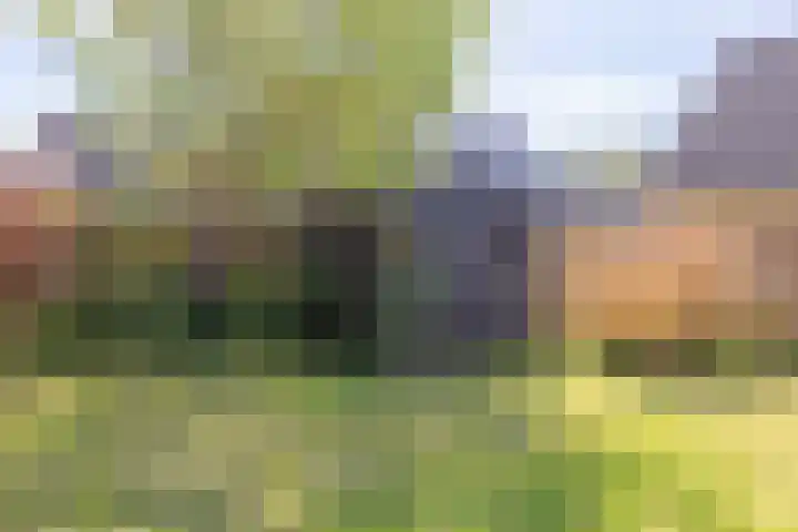 Maarweg 7 Baflo thumbnail 37