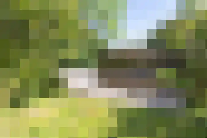 Maarweg 7 Baflo thumbnail 38