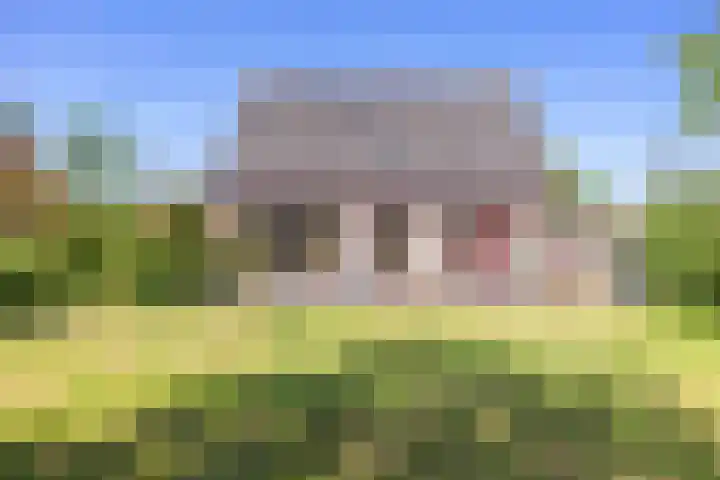 Maarweg 7 Baflo thumbnail 39