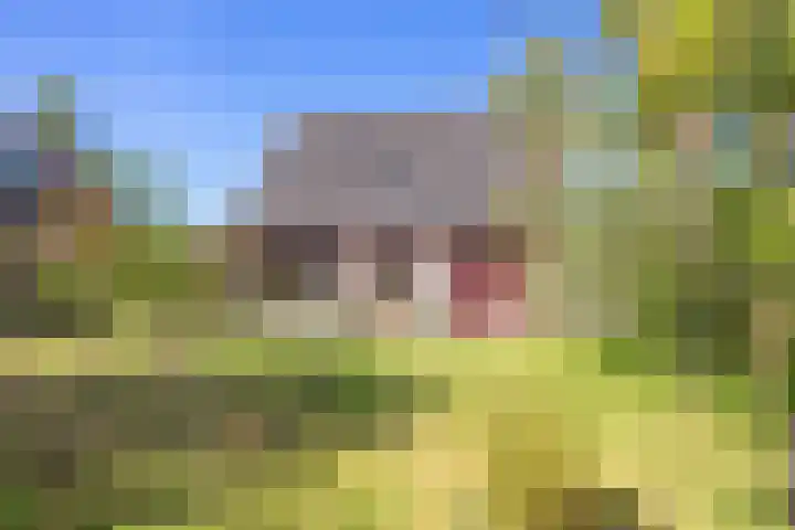 Maarweg 7 Baflo thumbnail 6