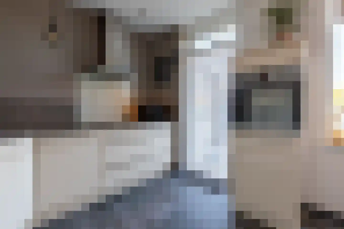 Maarzijde 57 Kerkrade thumbnail 11