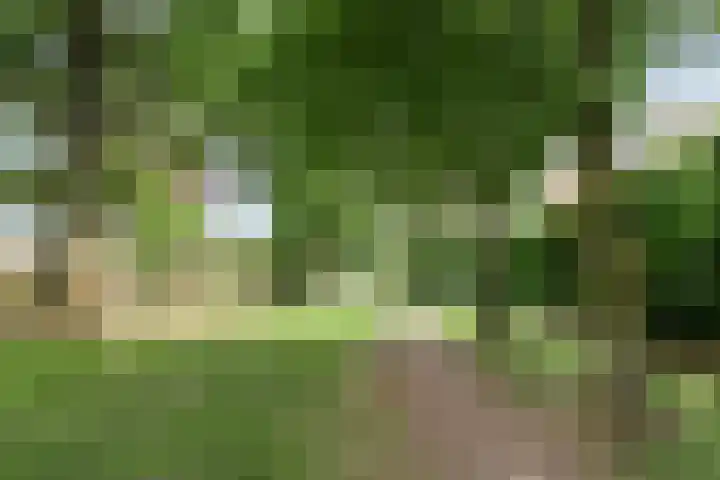 Maarzijde 57 Kerkrade thumbnail 30
