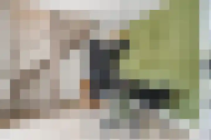 Maarzijde 57 Kerkrade thumbnail 8
