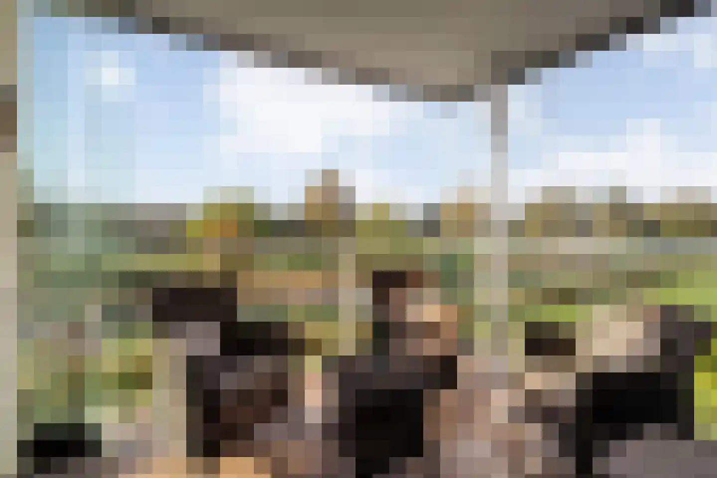 Maas 13 Hoogeveen thumbnail 27