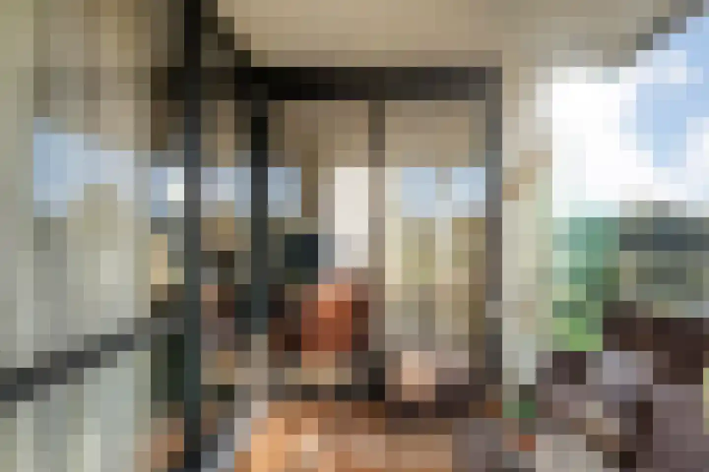 Maas 13 Hoogeveen thumbnail 29