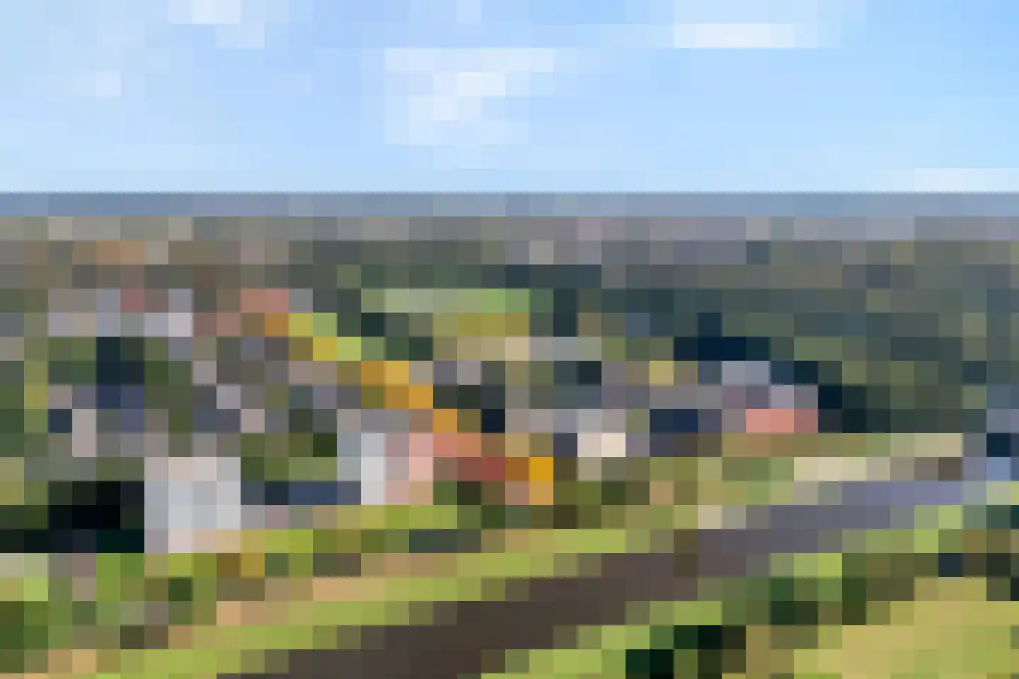 Maas 13 Hoogeveen thumbnail 4