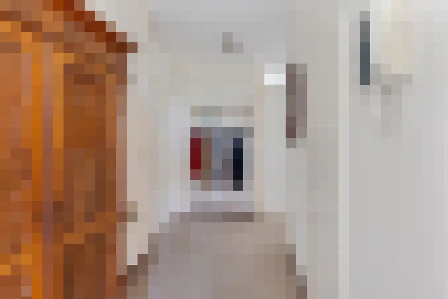 Maas 21 Hoogeveen thumbnail 11