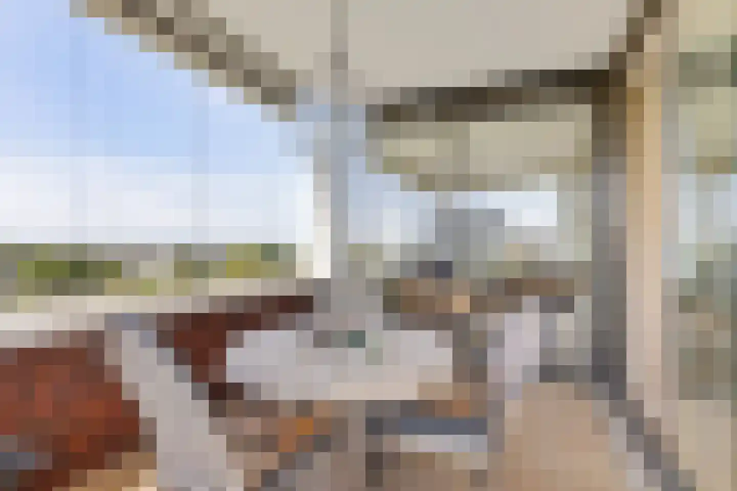 Maas 21 Hoogeveen thumbnail 18