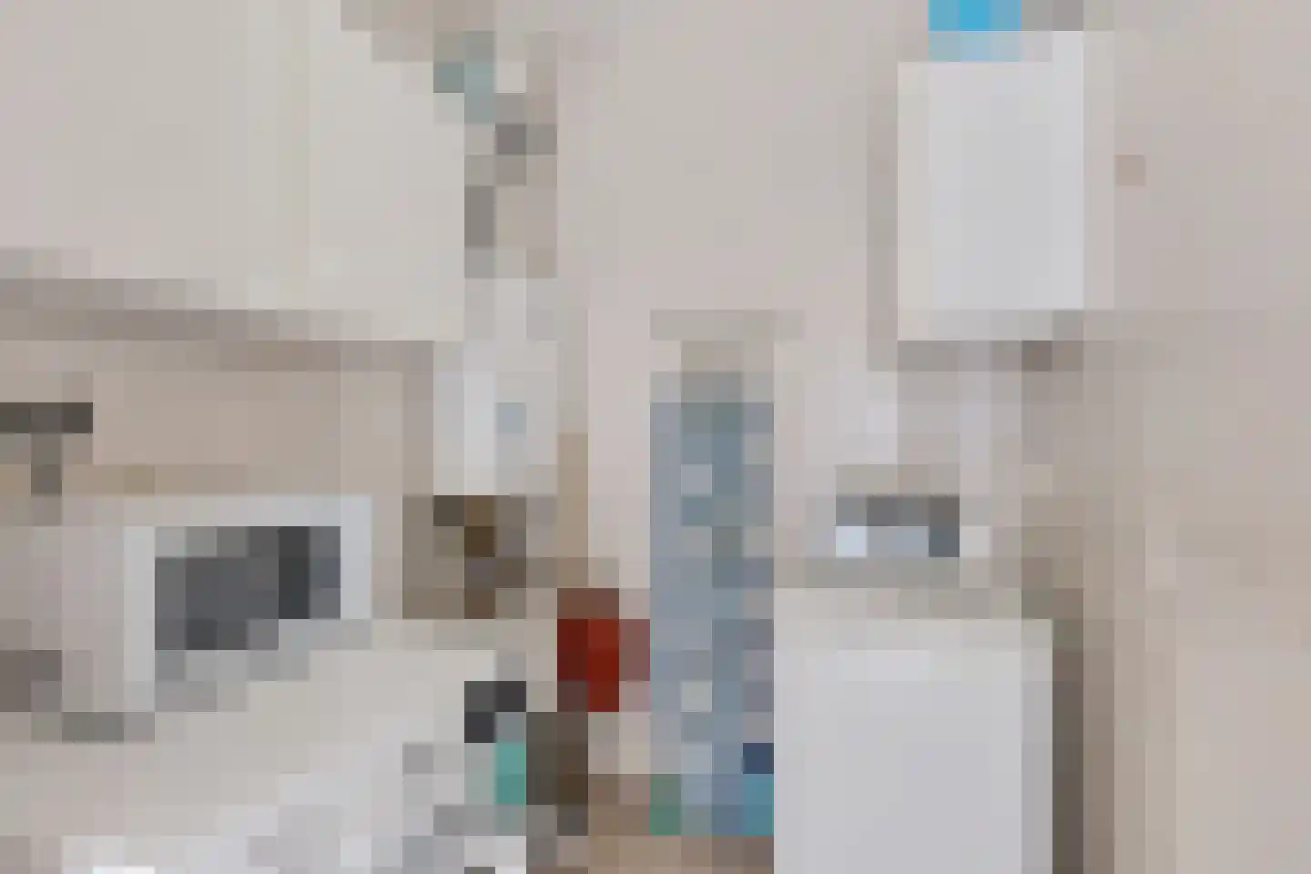 Maas 21 Hoogeveen thumbnail 32