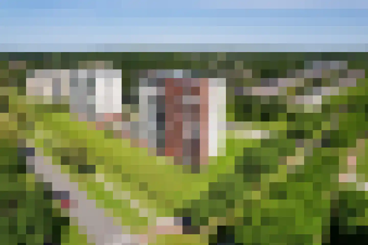 Maas 21 Hoogeveen thumbnail 41