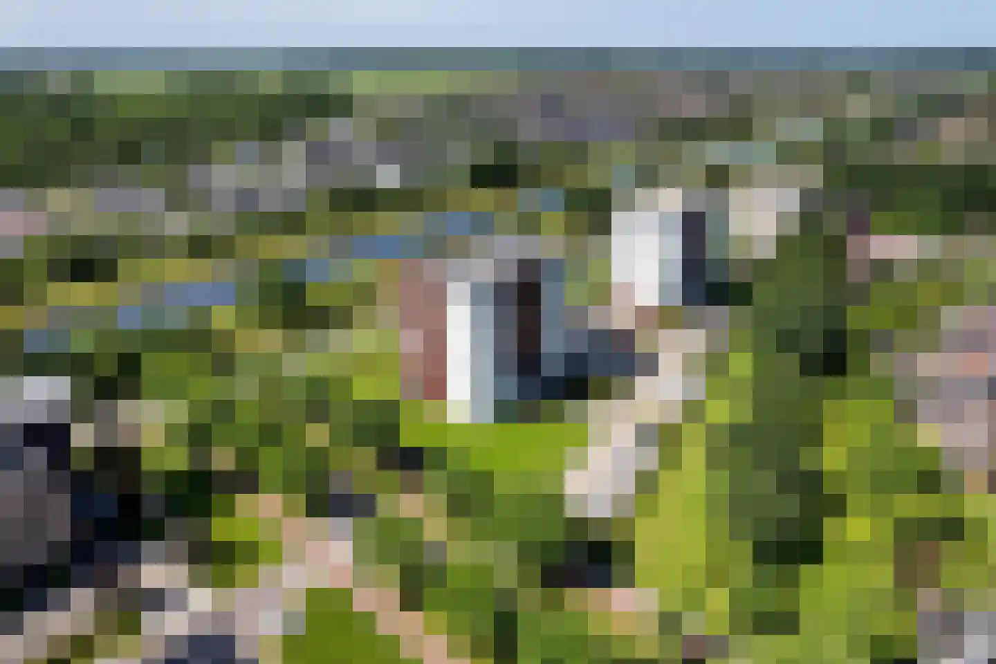 Maas 21 Hoogeveen thumbnail 44